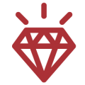 Reputation management service icon — Botica Butler Raudon
